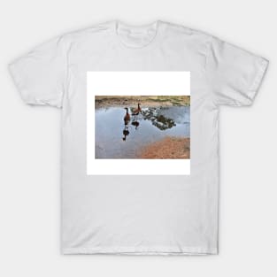 ducks in the park photograph T-Shirt